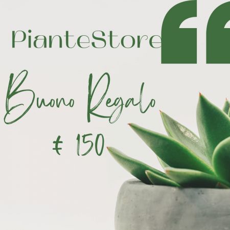 BUONO REGALO 50 EURO