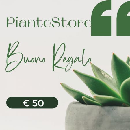 BUONO REGALO 150 EURO