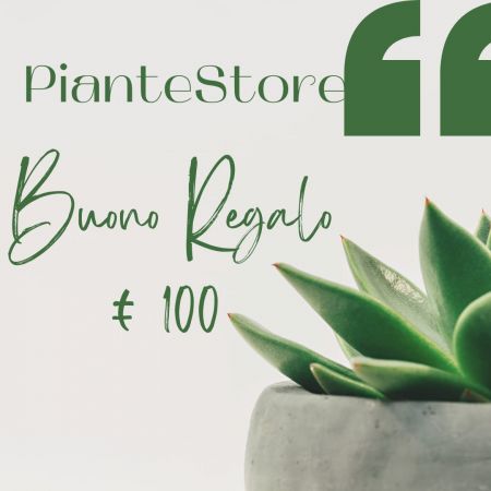 BUONO REGALO 50 EURO