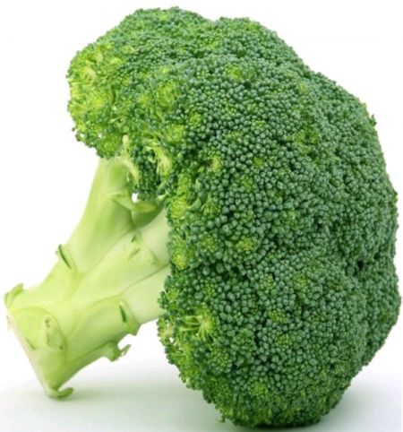 CAVOLO